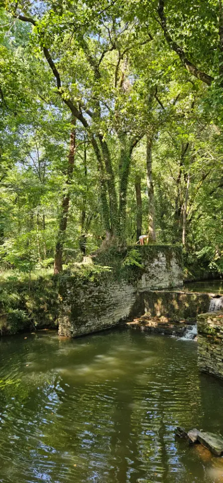 Cabane du Berger à Salies-de-Béarn, photo 7
