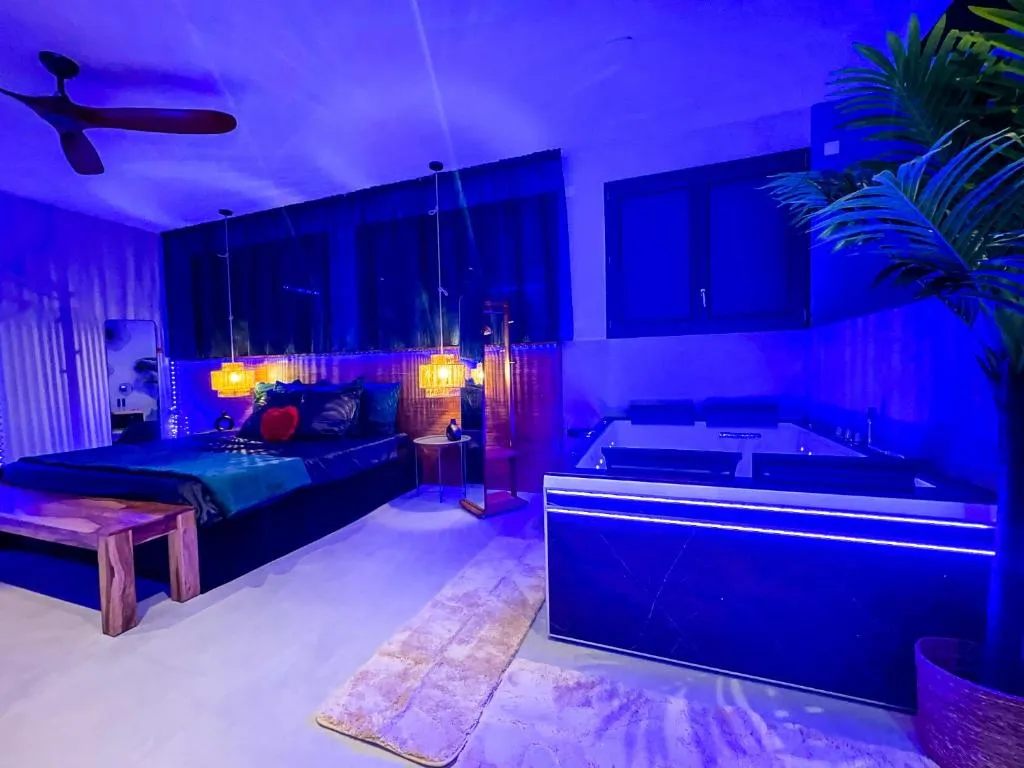 Serenity Suite Amour à Vénissieux, photo 2