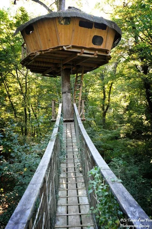 Cabane Amazonie à Magné, photo 4