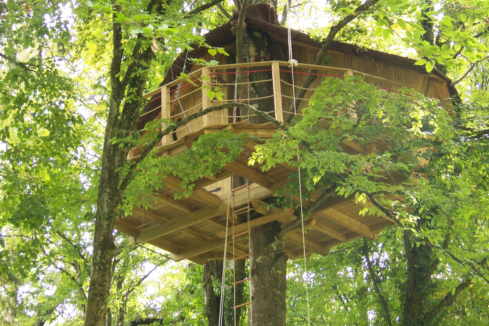 Cabane des Lémuriens à Magné, photo 2