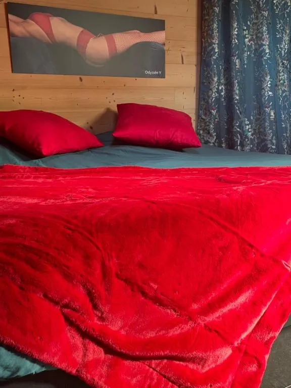 Love Room Fire Sens à Breurey-lès-Faverney, photo 2