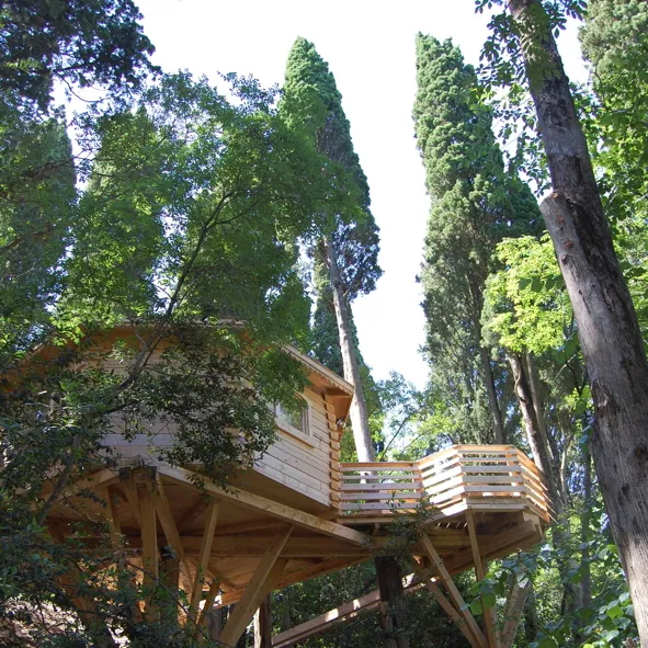 Cabane Cassine à Villalier, photo 6