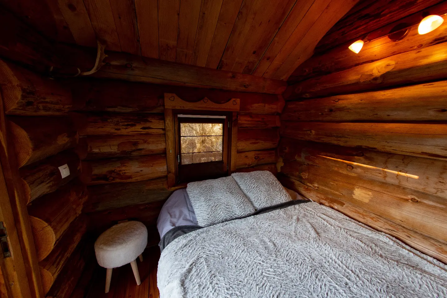 La Cabane des Colibris à Rieupeyroux, photo 3