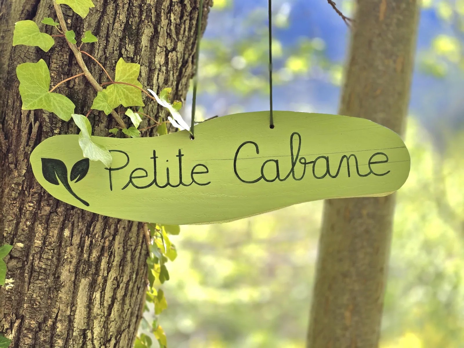 Petite cabane dans les bois à Malons-et-Elze, photo 6
