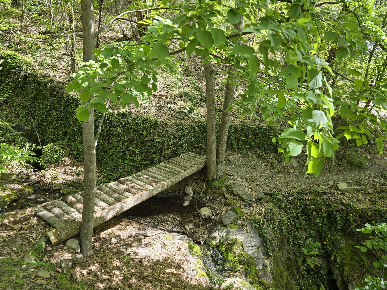 Petite cabane dans les bois à Malons-et-Elze, photo 7