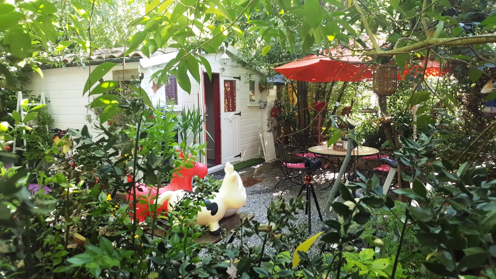 Tiny Églantine à Durfort-et-Saint-Martin-de-Sossenac, photo 6