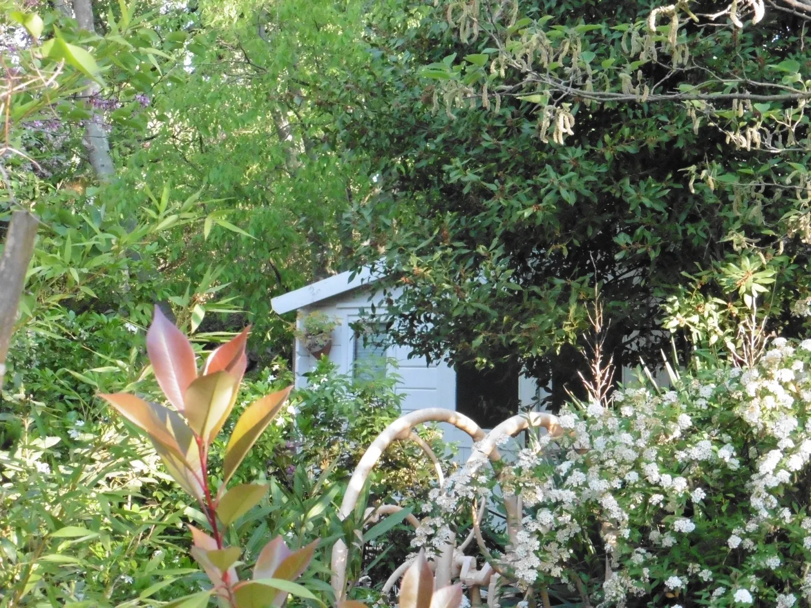 Tiny Églantine à Durfort-et-Saint-Martin-de-Sossenac, photo 7