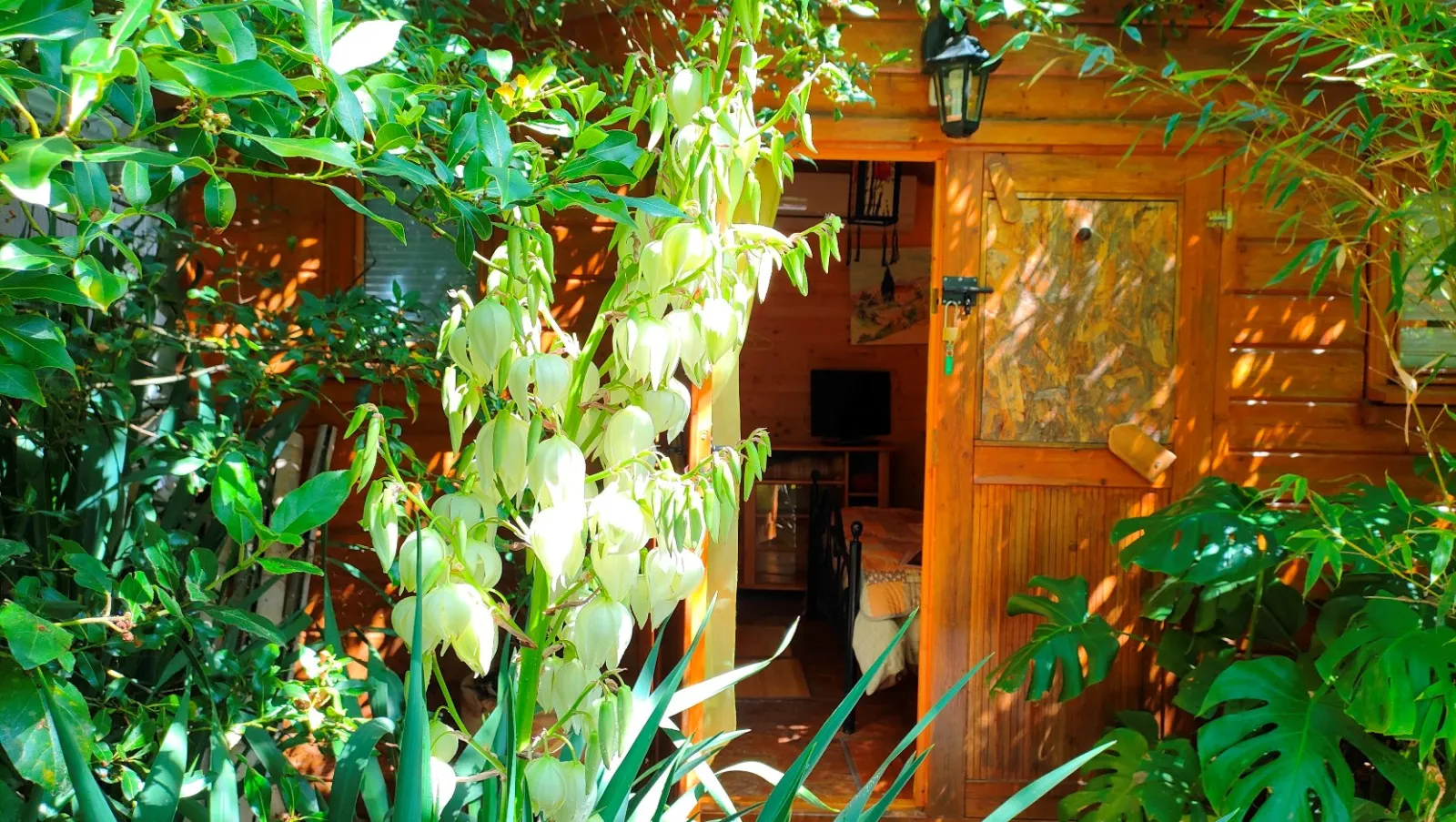 Tiny Garden, tiny house à Durfort-et-Saint-Martin-de-Sossenac