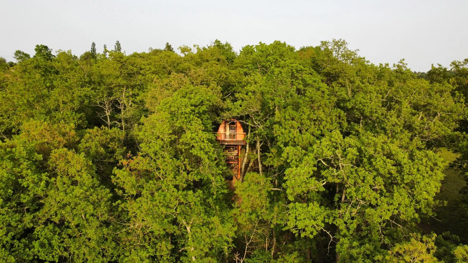 Cabane entre les cimes, cabane à Montgras