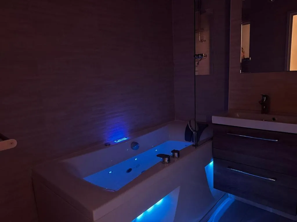 Studio Spa Vieille Ville à Annecy, photo 3