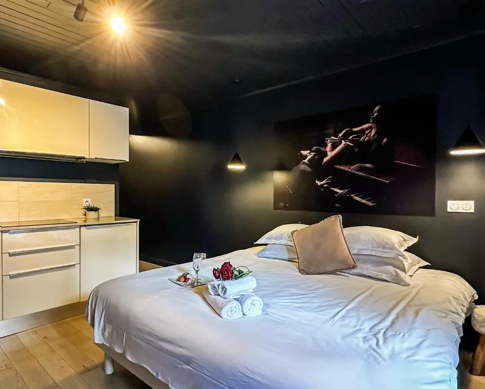 Studio Spa Vieille Ville à Annecy, photo 7