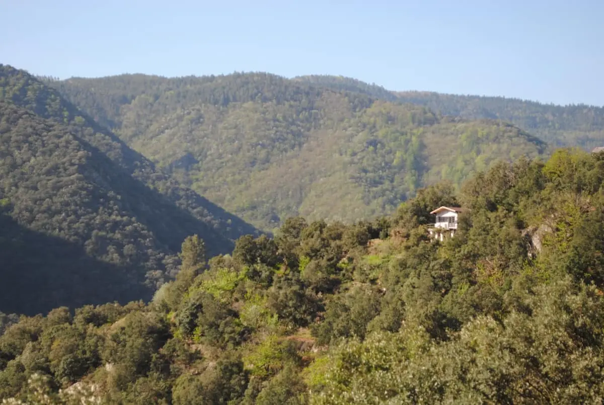Cabane Sorène à Pied-de-Borne, photo 4