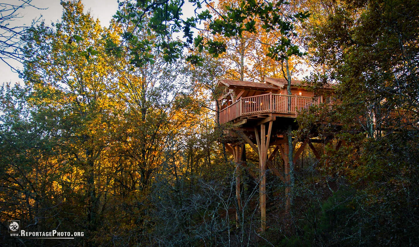 Cabane perchée de la Male, cabane à Puygaillard-de-Quercy