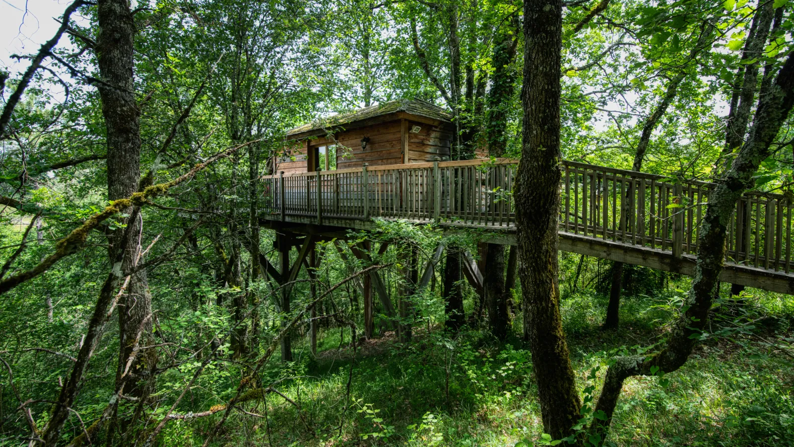 Cabane perchée de la Male à Puygaillard-de-Quercy, photo 3