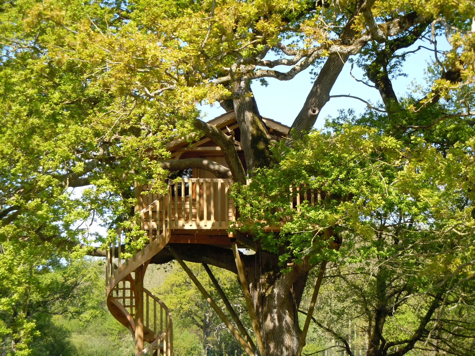 Cabane O' charmes, cabane à Sèvremoine