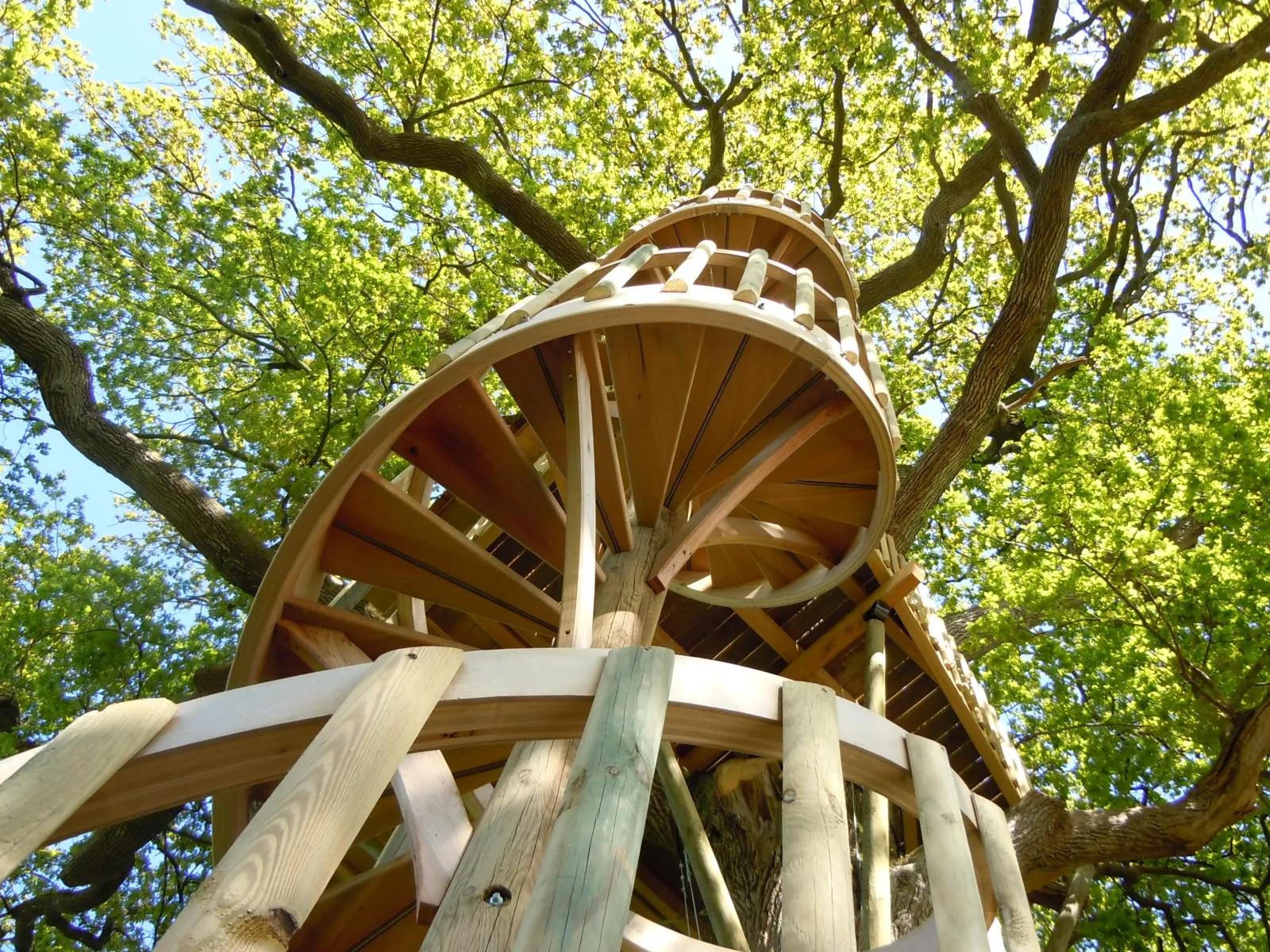 Cabane O' charmes à Sèvremoine, photo 4