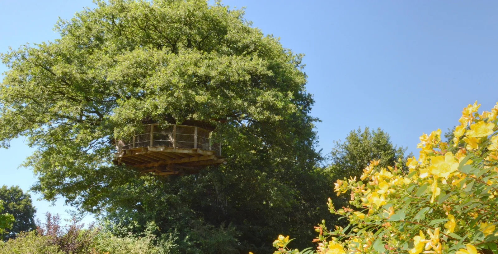 Cabane Girsberg, cabane à La Baconnière