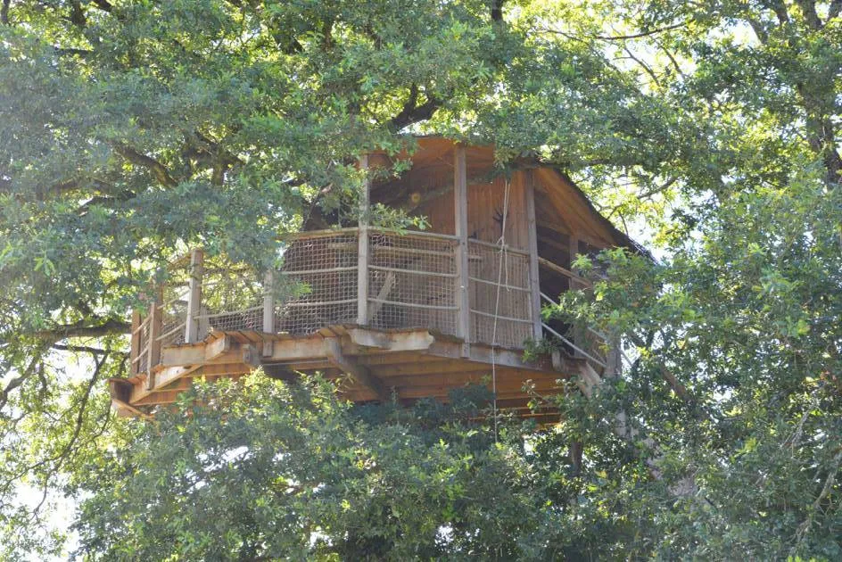 Cabane Girsberg à La Baconnière, photo 7