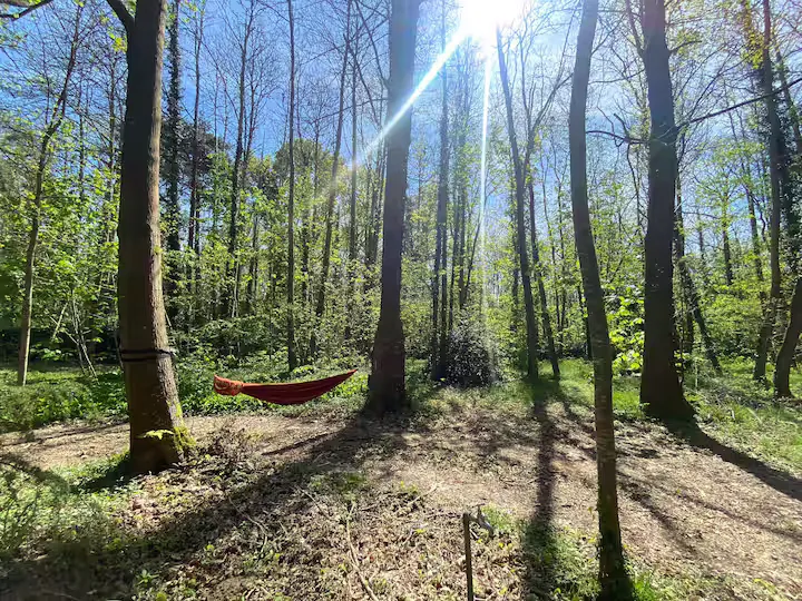 Cabane de l'Ours à Sillé-le-Philippe, photo 3