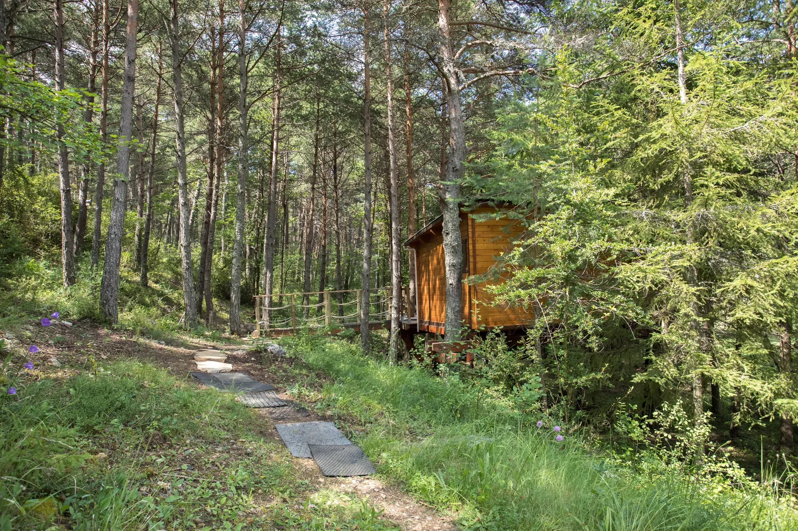 Cabane perchée du Verdon à La Palud-sur-Verdon, photo 2