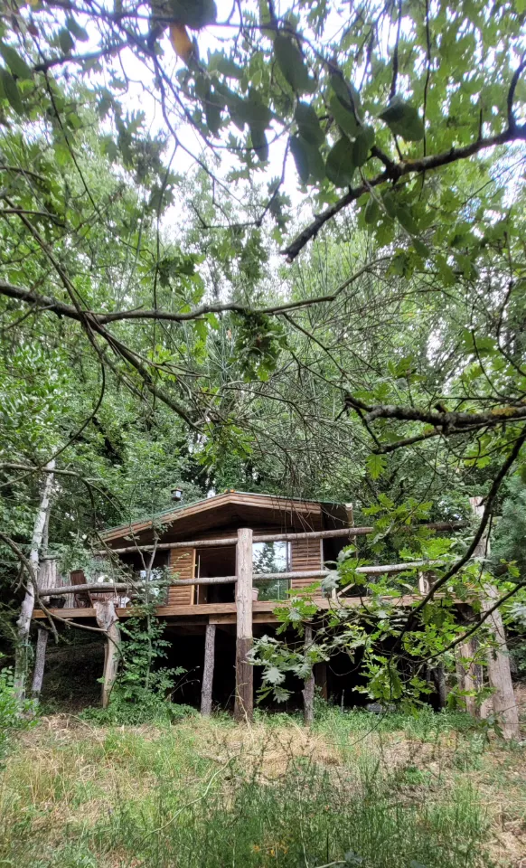 Cabane Fetia à Tourrettes-sur-Loup, photo 2