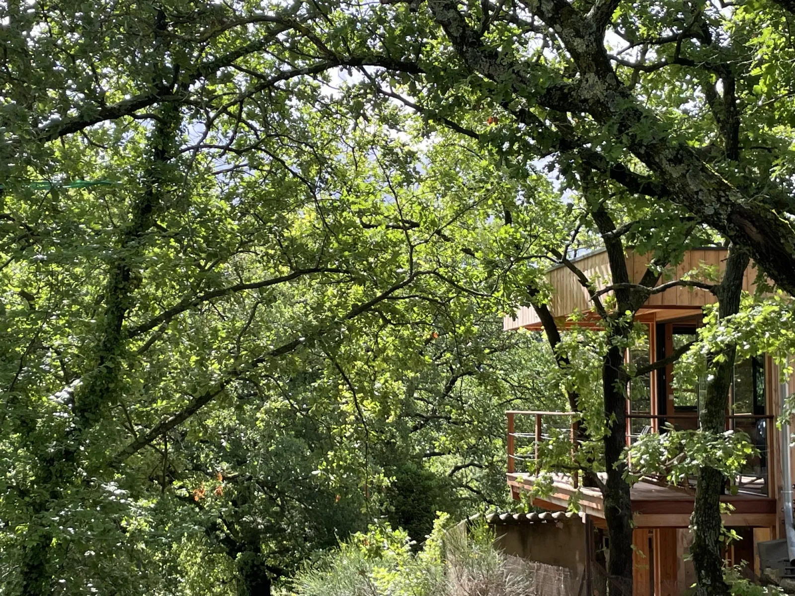 Le Nid en Provence à Le Puy-Sainte-Réparade, photo 4