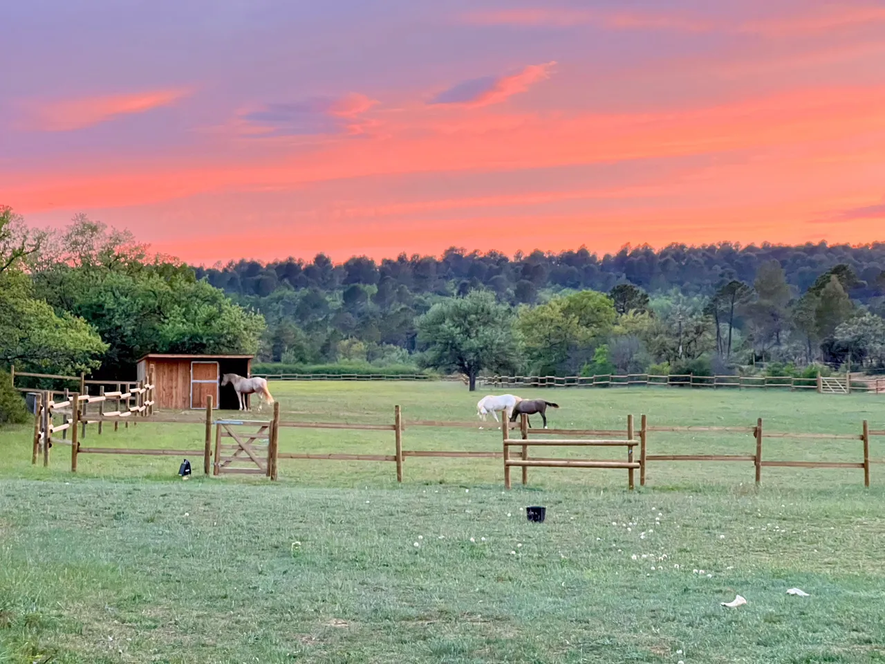 La Cabane du ranch, cabane à Aups