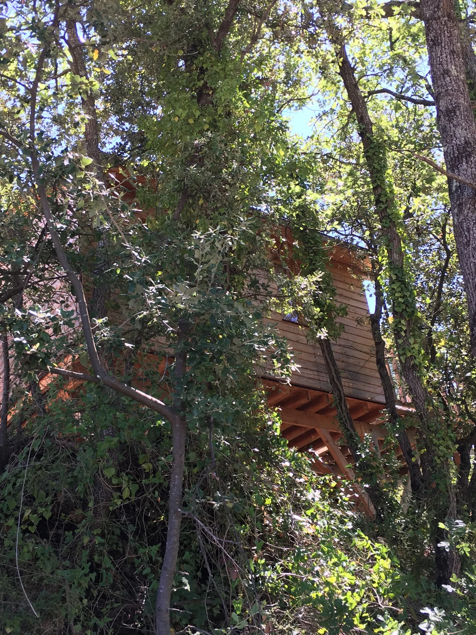 La Cabane des Amoureux à Barjols, photo 7