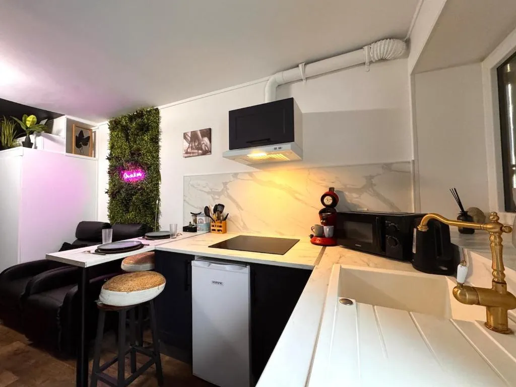 Duplex Ambiance Intime à Souppes-sur-Loing, photo 4