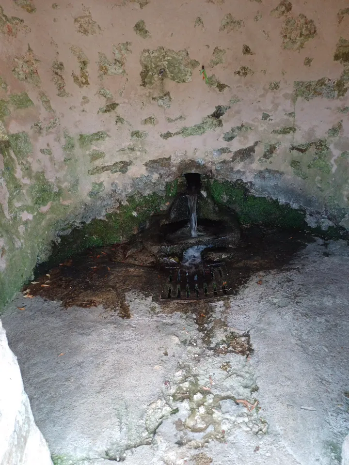 La Cabane d'Augustin à Saint-Augustin, photo 7
