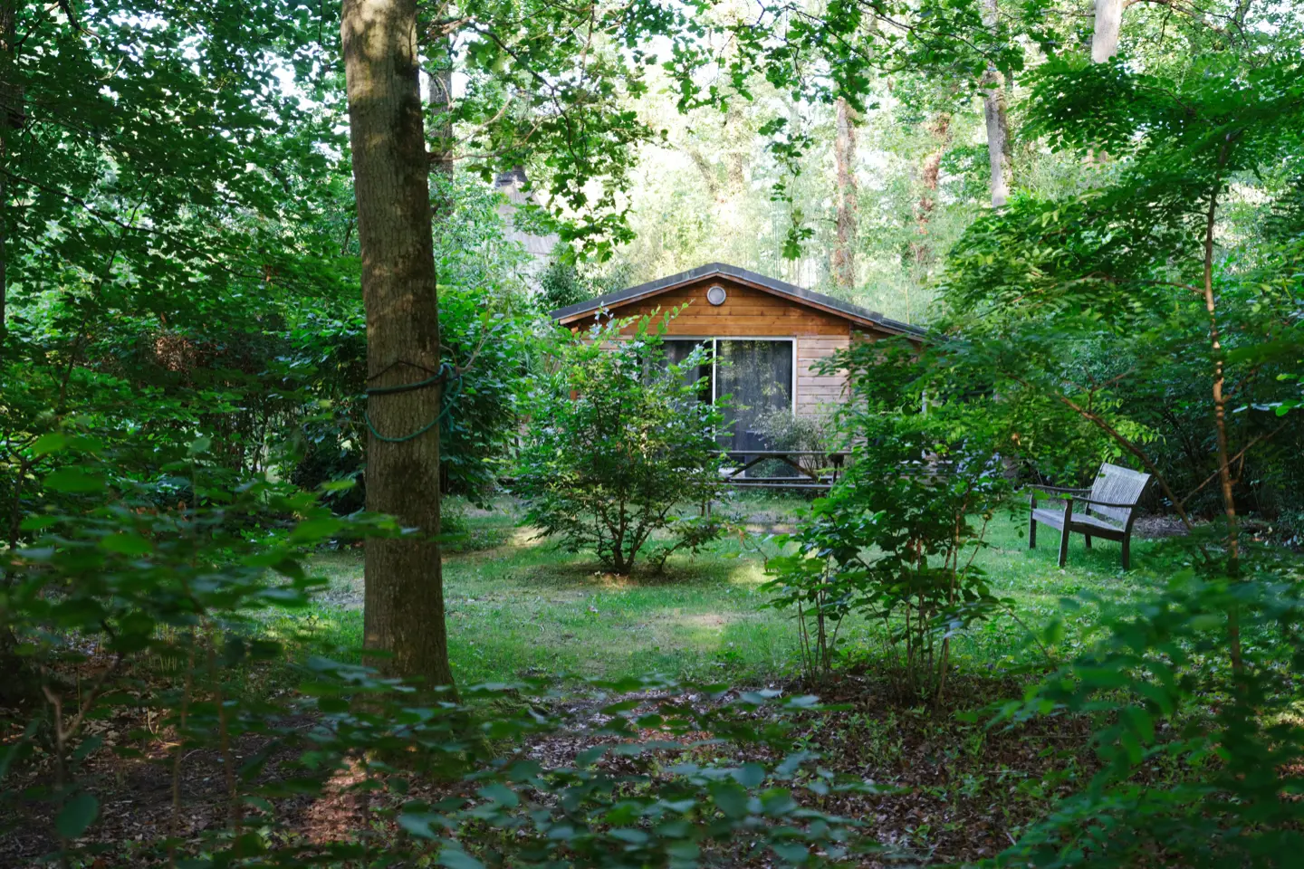 Acousmahome à Arbonne-la-Forêt, photo 4