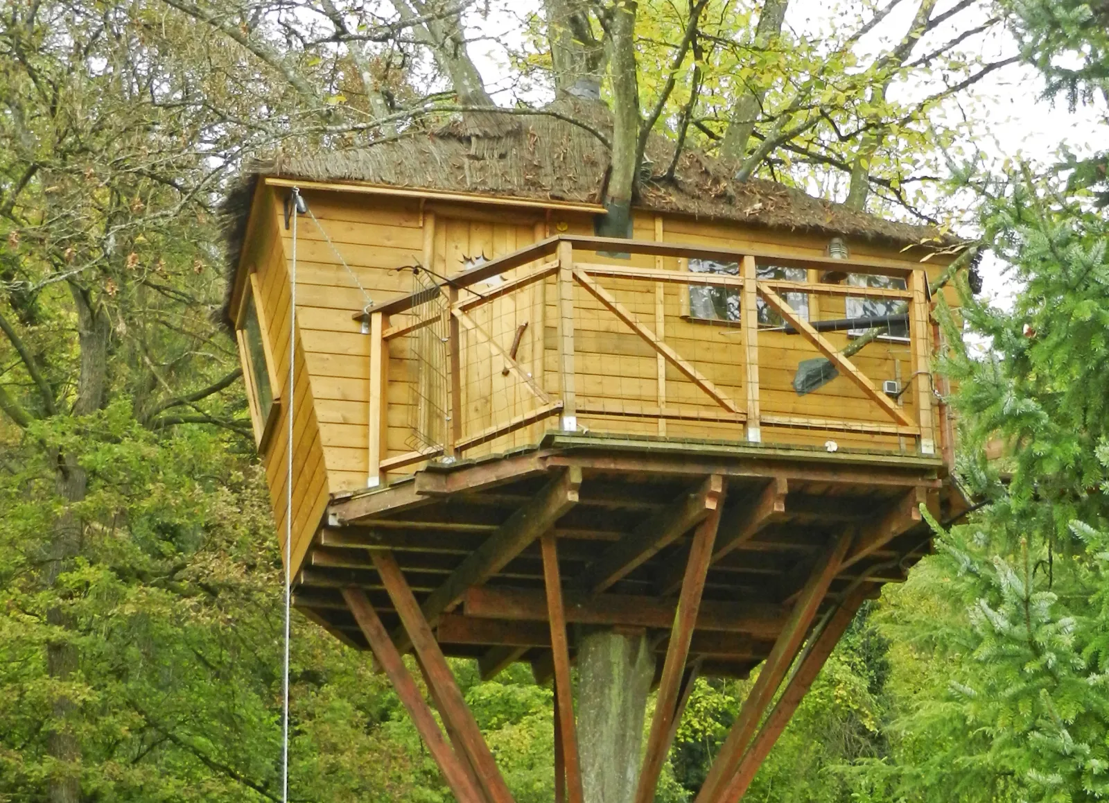 La Cabane du Charme à Chamigny, photo 6