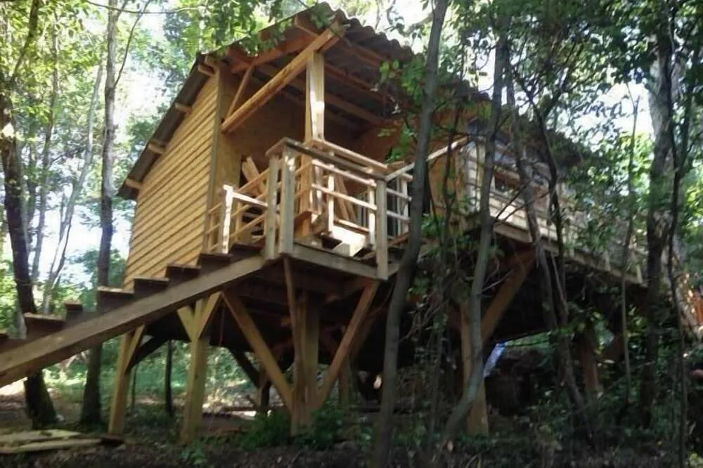 Cabane au milieu des arbres, cabane à Cervione