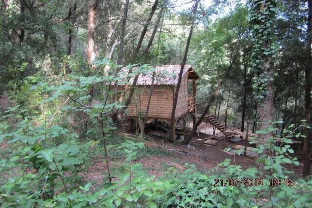 Cabane au milieu des arbres à Cervione, photo 7