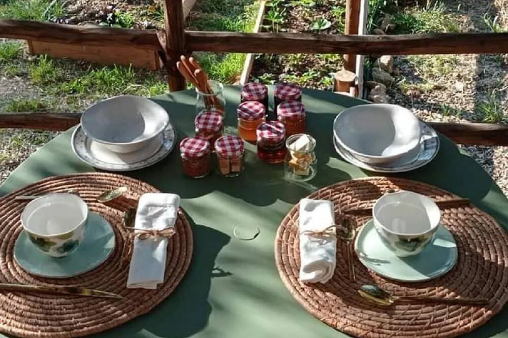 Cabane insolite sous les chênes à Murviel-lès-Béziers, photo 7