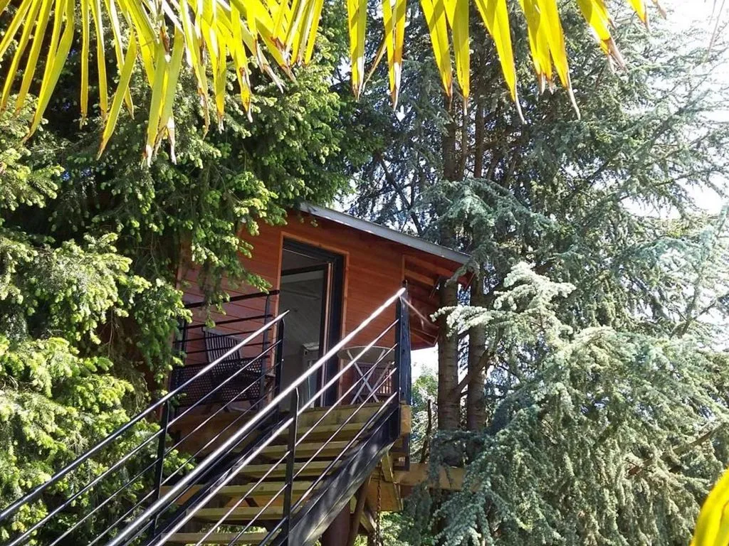 Cabane perchée de Beauvais à Port-Saint-Père, photo 4