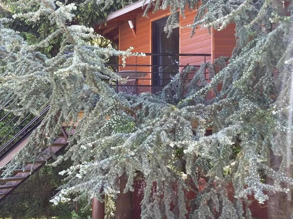Cabane perchée de Beauvais à Port-Saint-Père, photo 6