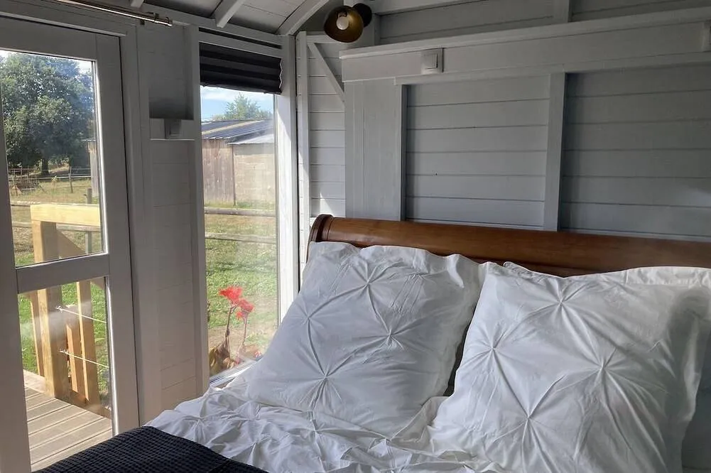Cabane de berger de Dragey à Dragey-Ronthon, photo 2
