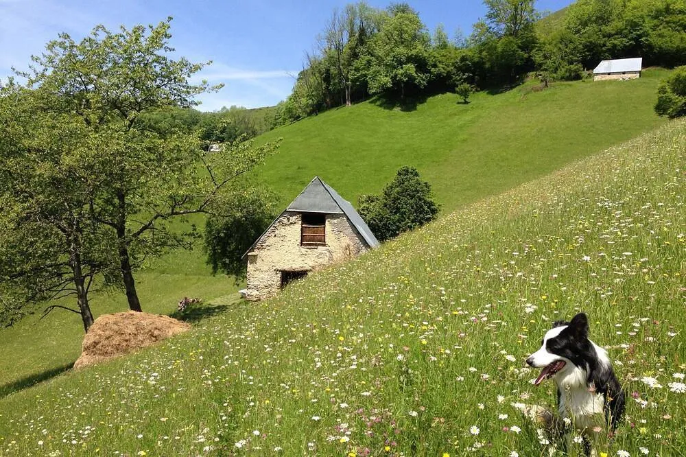 Cabane Beroy à Bagnères-de-Bigorre, photo 7
