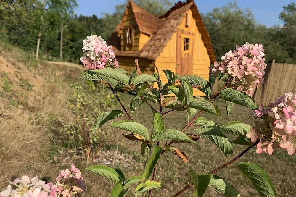 Cabane Au Bonheur Comtois, cabane à Champagney