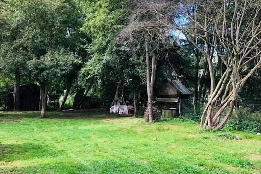 Cabane & Canoë à Saint-Jean-les-Deux-Jumeaux, photo 7