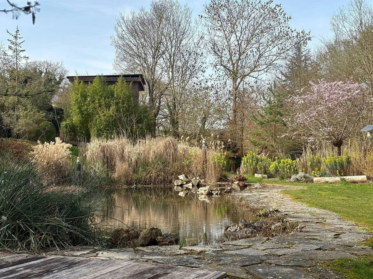 La Cabane Perchée à Vert, photo 3