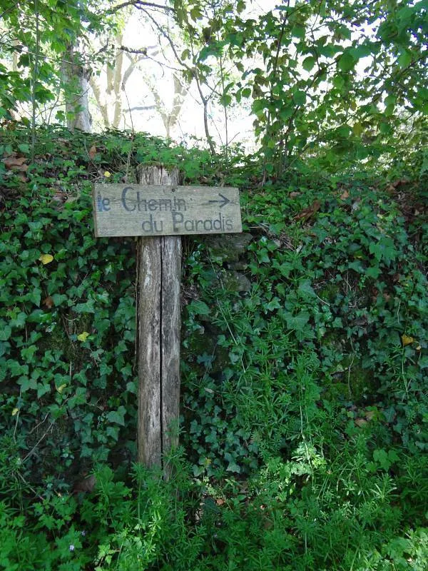 La Cabane au bord de l'eau à La Geneytouse, photo 6