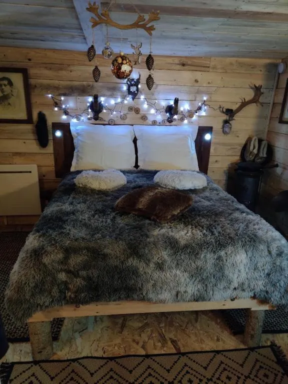 La Cabane du Trappeur à La Bourgonce, photo 7