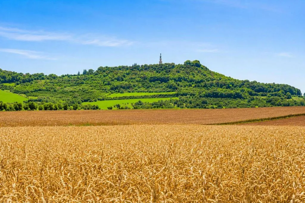 La Mâh'nnotte à Hergugney, photo 3