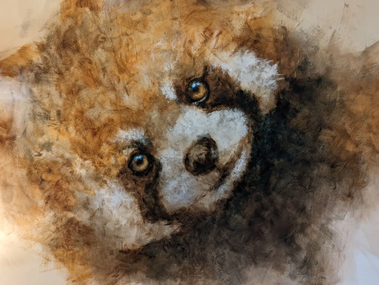 Chambre Rêve de Panda roux à Parentignat, photo 3