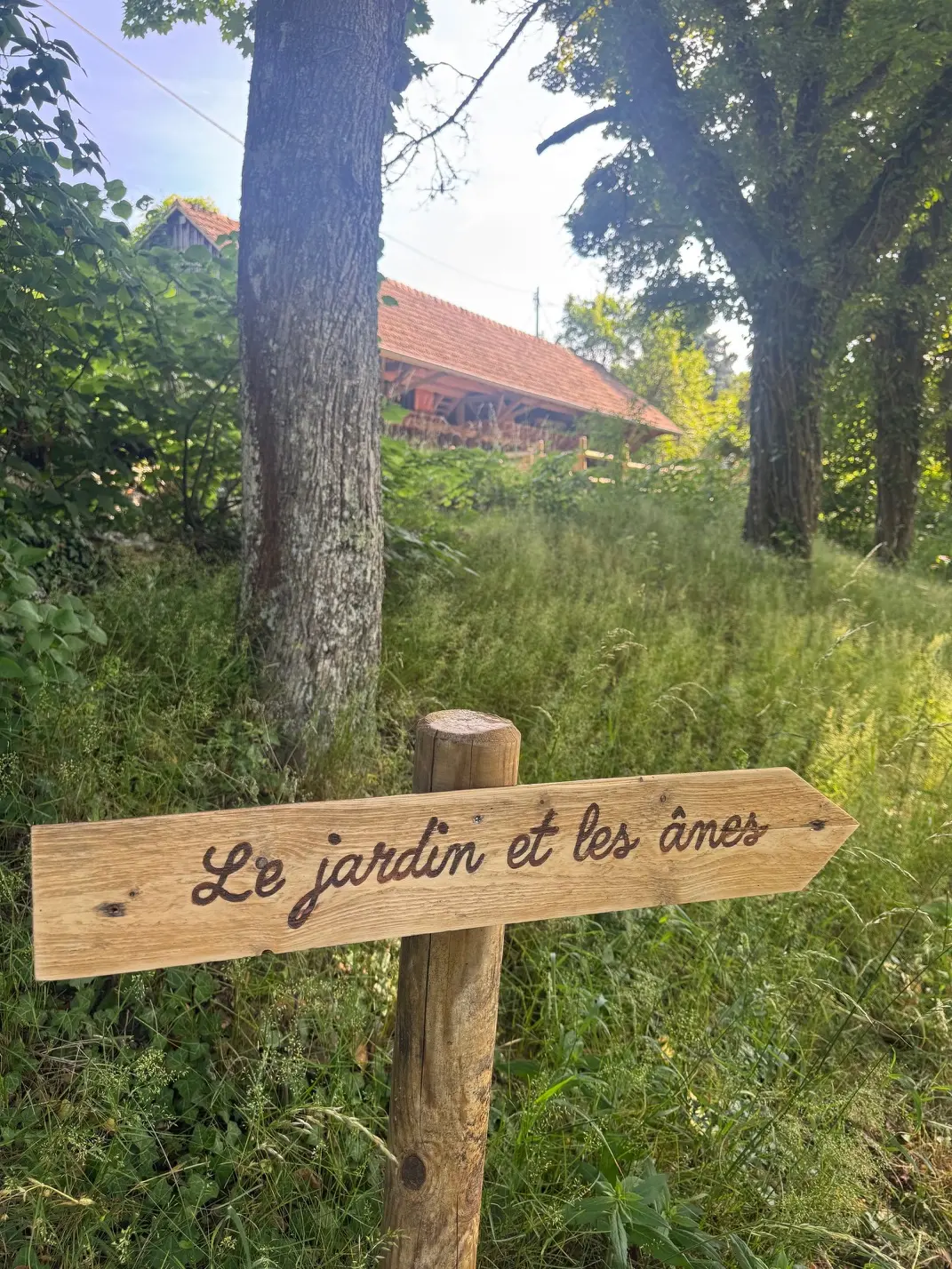 Gîte Romantique du Manoir des Sens à Rodern, photo 6