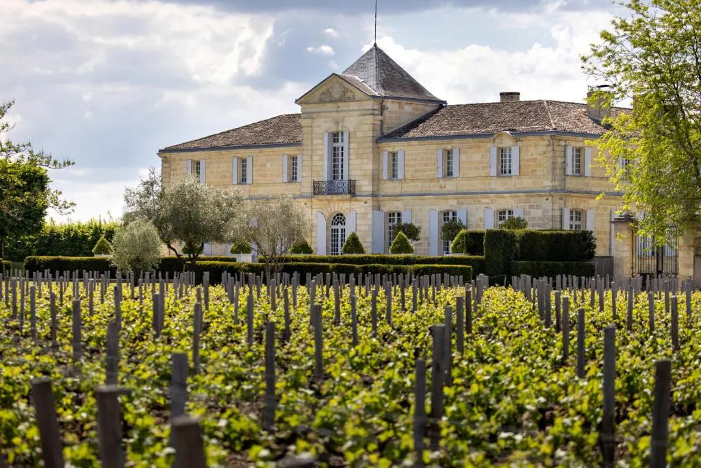 Château du Tertre à Arsac, photo 6