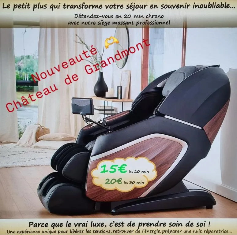 Château de Grandmont à Blacé, photo 3