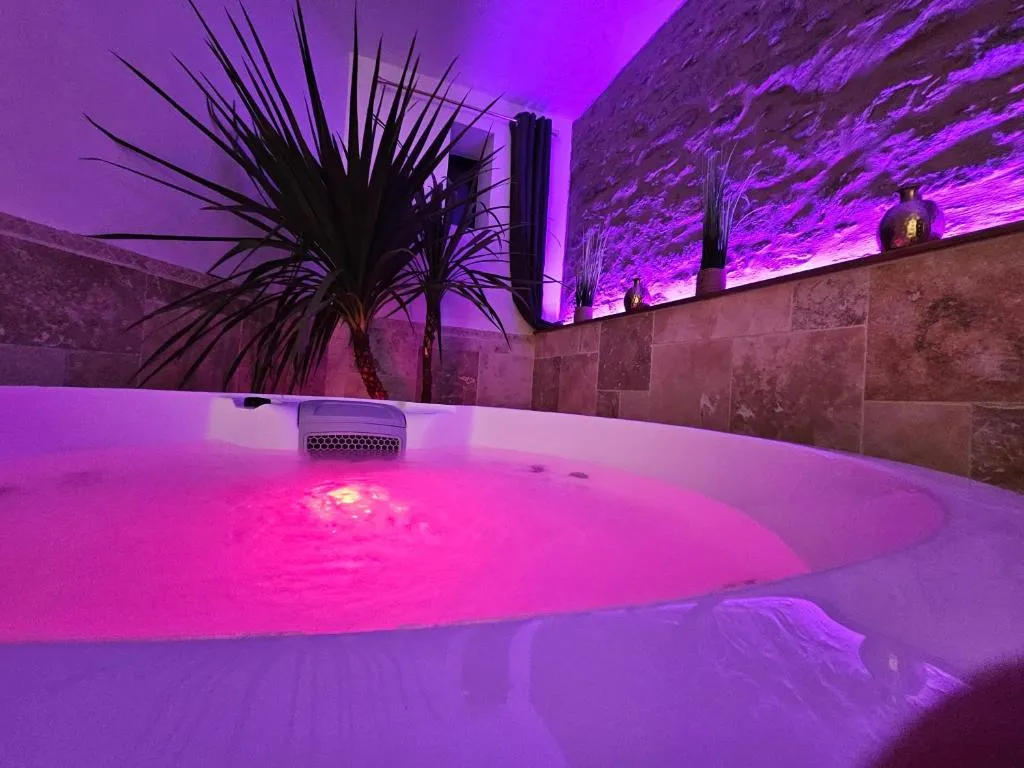 Love Room Vendée du Noyer à Nesmy, photo 6